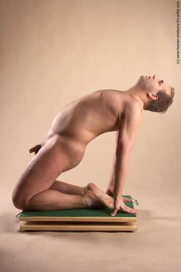 Nude Man White Kneeling poses - ALL Average Short Brown Kneeling poses - on both knees Realistic