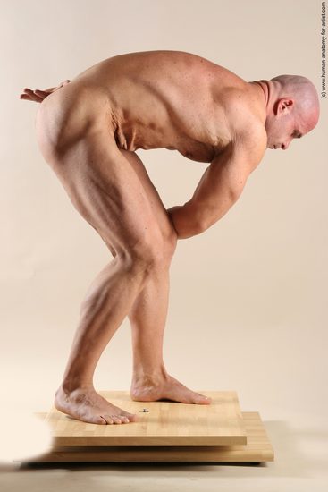 Nude Man White Laying poses - ALL Muscular Short Brown Laying poses - on back Realistic