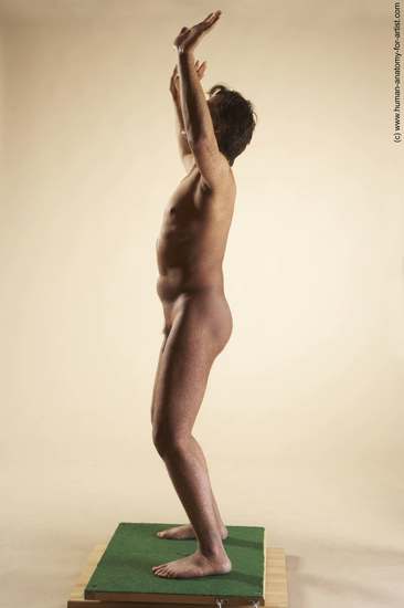 Nude Man White Standing poses - ALL Slim Short Brown Standing poses - simple Realistic