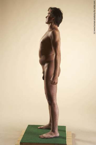 Nude Man White Standing poses - ALL Slim Short Brown Standing poses - simple Realistic