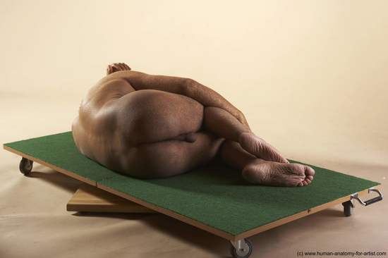 Nude Man White Laying poses - ALL Average Short Brown Laying poses - on side Realistic