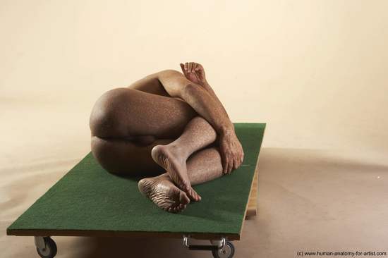 Nude Man White Laying poses - ALL Average Short Brown Laying poses - on side Realistic