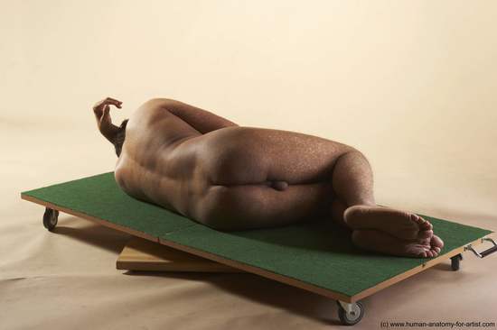 Nude Man White Laying poses - ALL Average Short Brown Laying poses - on side Realistic