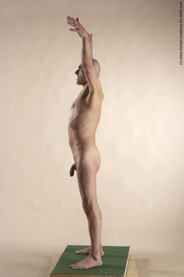 Nude Man White Standing poses - ALL Slim Bald Standing poses - simple Realistic