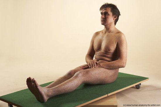 Nude Man White Sitting poses - simple Average Short Brown Sitting poses - ALL Realistic