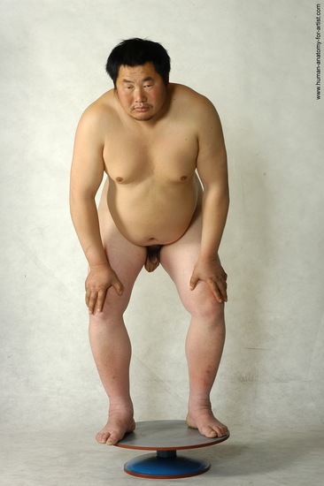 Nude Man Asian Standing poses - ALL Chubby Short Brown Standing poses - simple Realistic