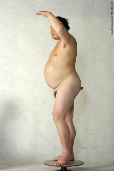 Nude Man Asian Standing poses - ALL Chubby Short Brown Standing poses - simple Realistic