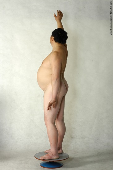 Nude Man Asian Standing poses - ALL Chubby Short Brown Standing poses - simple Realistic