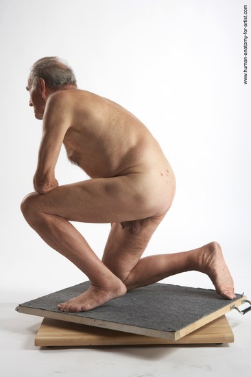 and more Nude Man White Kneeling poses - ALL Slim Bald Grey Kneeling poses - on both knees Realistic