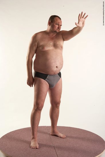 Underwear Man White Standing poses - ALL Chubby Short Brown Standing poses - simple Academic