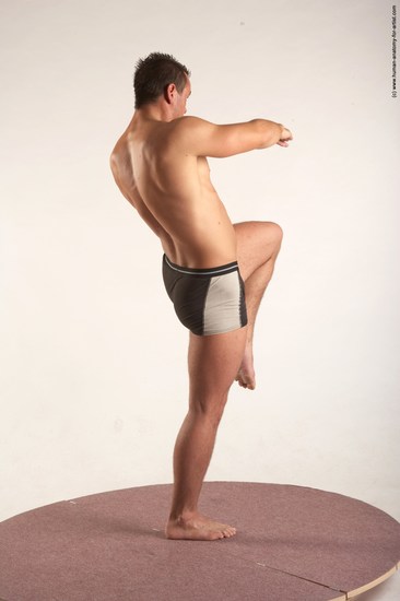 Underwear Martial art Man White Standing poses - ALL Average Short Brown Standing poses - simple Academic