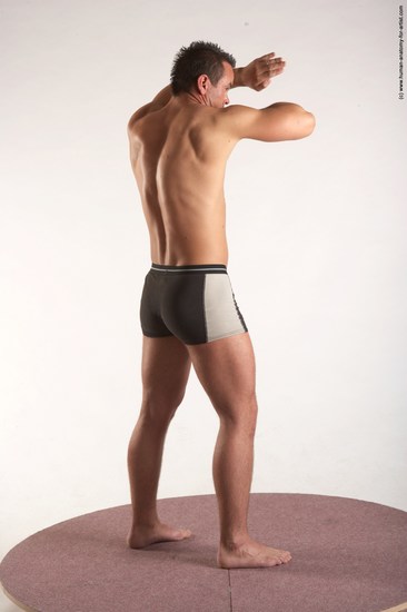 Underwear Martial art Man White Standing poses - ALL Average Short Brown Standing poses - simple Academic