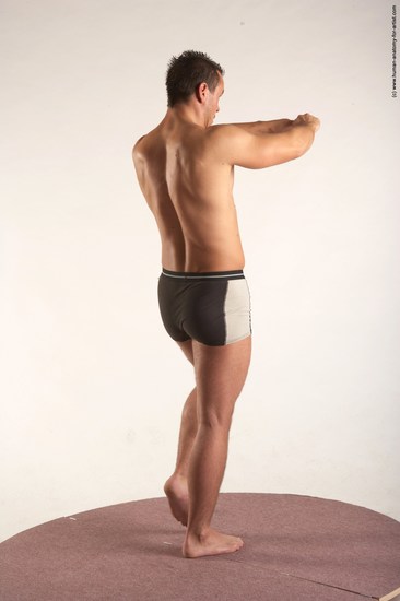 Underwear Martial art Man White Standing poses - ALL Average Short Brown Standing poses - simple Academic