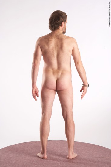 Nude Man White Standing poses - ALL Slim Short Brown Standing poses - simple Realistic