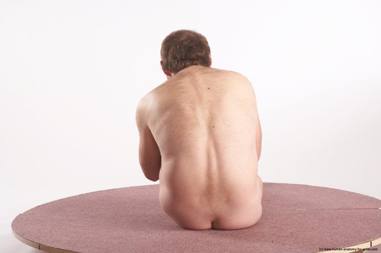 Nude Man White Sitting poses - simple Slim Short Brown Sitting poses - ALL Realistic