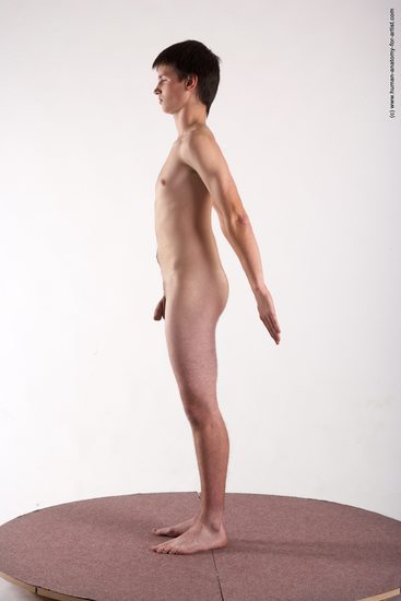 Nude Man White Standing poses - ALL Slim Short Brown Standing poses - simple Realistic