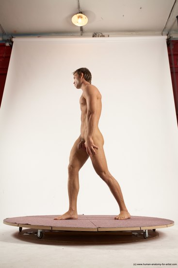 Nude Man White Standing poses - ALL Athletic Short Brown Standing poses - simple Multi angles poses Realistic