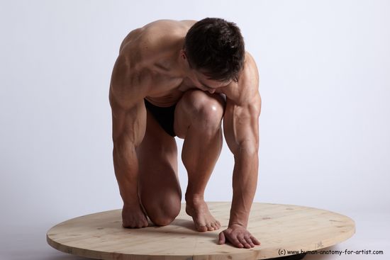 Swimsuit Man White Kneeling poses - ALL Muscular Short Brown Kneeling poses - on one knee Academic