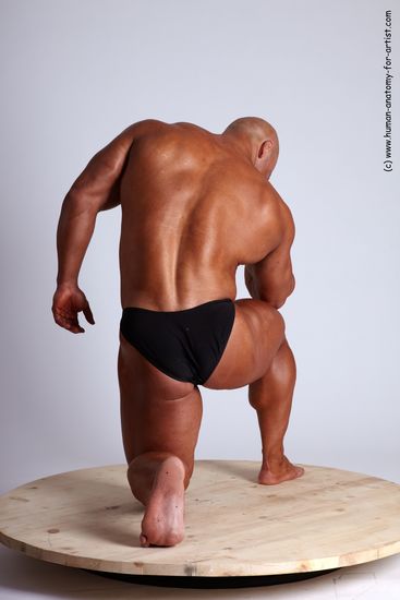 Swimsuit Man White Kneeling poses - ALL Muscular Bald Kneeling poses - on one knee Academic