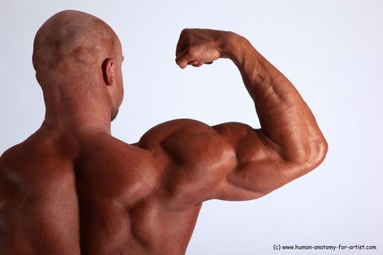 Swimsuit Man White Detailed photos Muscular Bald Academic