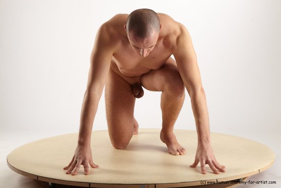 Nude Man White Kneeling poses - ALL Average Short Brown Kneeling poses - on one knee Realistic