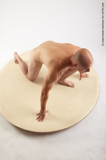 Nude Man White Kneeling poses - ALL Slim Bald Kneeling poses - on one knee Realistic