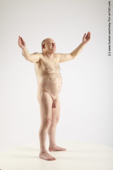 and more Nude Man White Standing poses - ALL Chubby Bald Grey Standing poses - simple Realistic