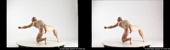 Nude Man White Kneeling poses - ALL Muscular Bald Kneeling poses - on one knee 3D Stereoscopic poses Realistic