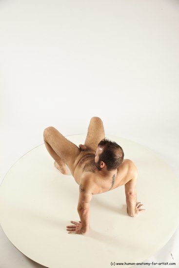 Nude Gymnastic poses Man White Average Short Brown Multi angles poses Realistic