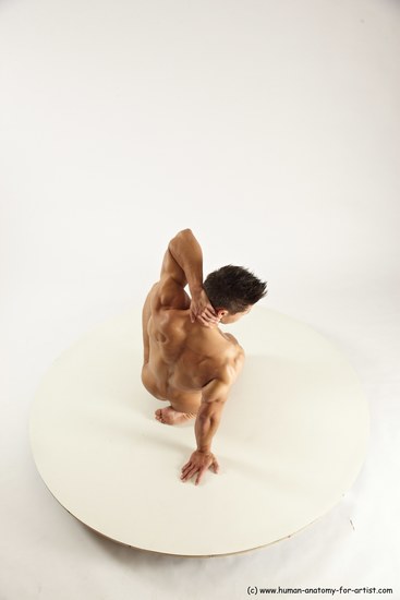 Nude Man White Muscular Short Brown Sitting poses - ALL Sitting poses - on knees Multi angles poses Realistic