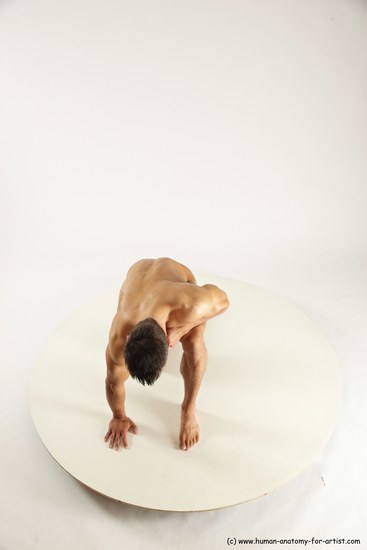 Nude Man White Kneeling poses - ALL Muscular Short Brown Kneeling poses - on one knee Multi angles poses Realistic