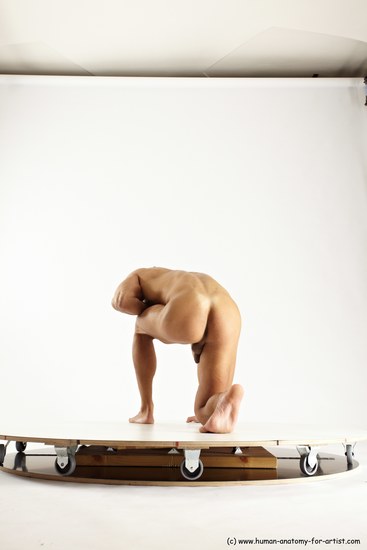 Nude Man White Kneeling poses - ALL Muscular Short Brown Kneeling poses - on one knee Multi angles poses Realistic