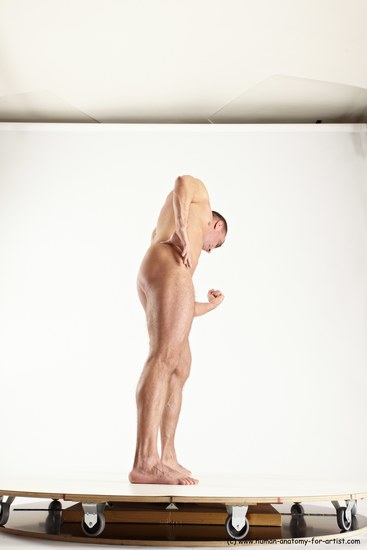 Nude Man White Standing poses - ALL Muscular Short Brown Standing poses - simple Multi angles poses Realistic