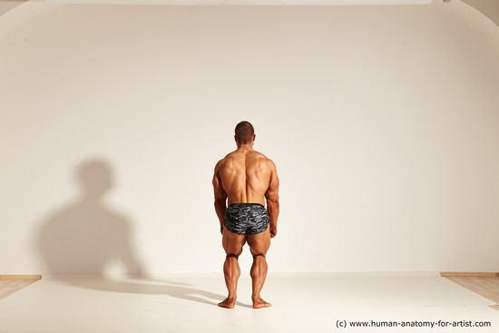 Underwear Gymnastic poses Man White Standing poses - ALL Muscular Short Brown Standing poses - simple Dynamic poses Academic