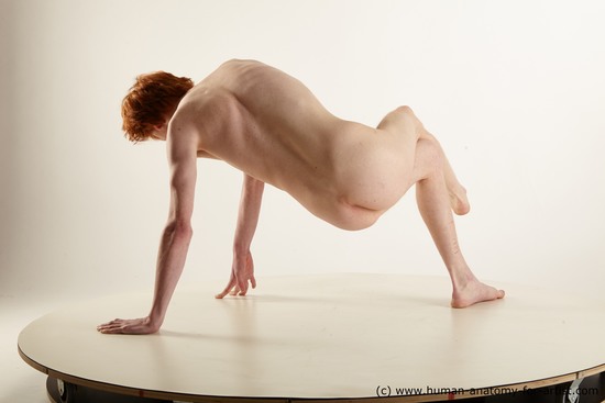 Nude Man White Sitting poses - simple Underweight Medium Red Sitting poses - ALL Standard Photoshoot Realistic