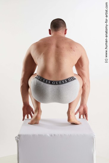 Underwear Man White Kneeling poses - ALL Muscular Short Brown Kneeling poses - on both knees Standard Photoshoot Academic