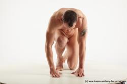 Nude Man White Kneeling poses - ALL Slim Short Brown Kneeling poses - on one knee Realistic
